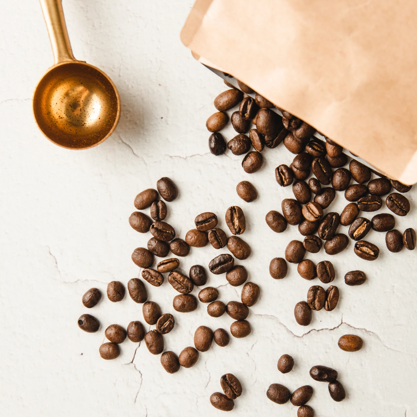arabica
